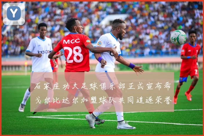 石家庄功夫足球俱乐部正式宣布希戈尔比达尔加盟球队共同追逐荣誉