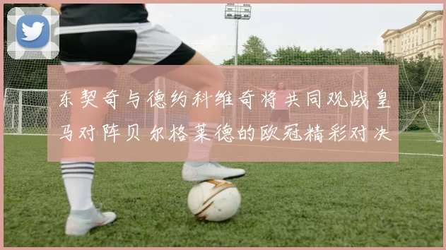 东契奇与德约科维奇将共同观战皇马对阵贝尔格莱德的欧冠精彩对决